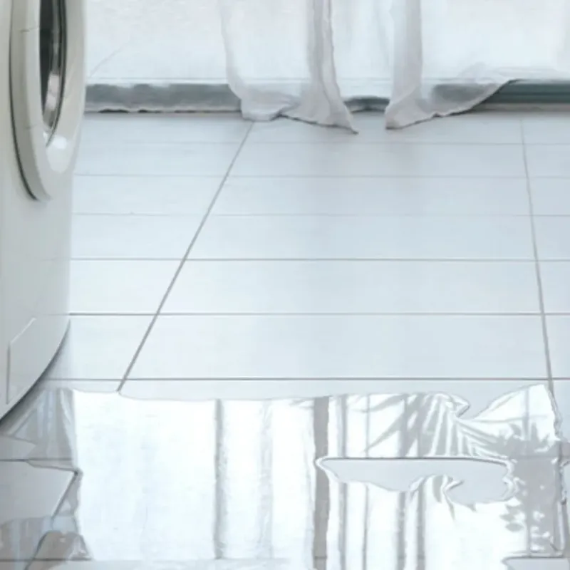 Appliance Leak Cleanup in Angleton, TX