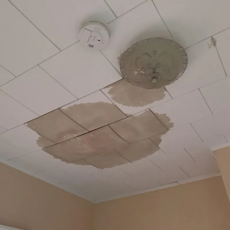 Ceiling Water Damage Repair in Angleton, TX
