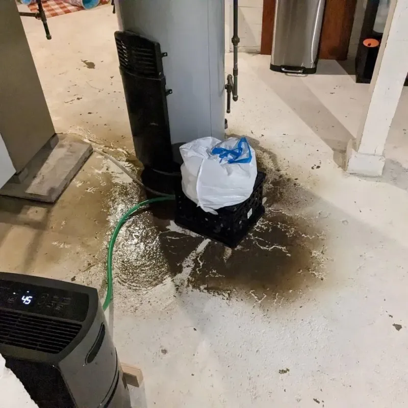 Sewage Backup Cleanup Service in Angleton, TX